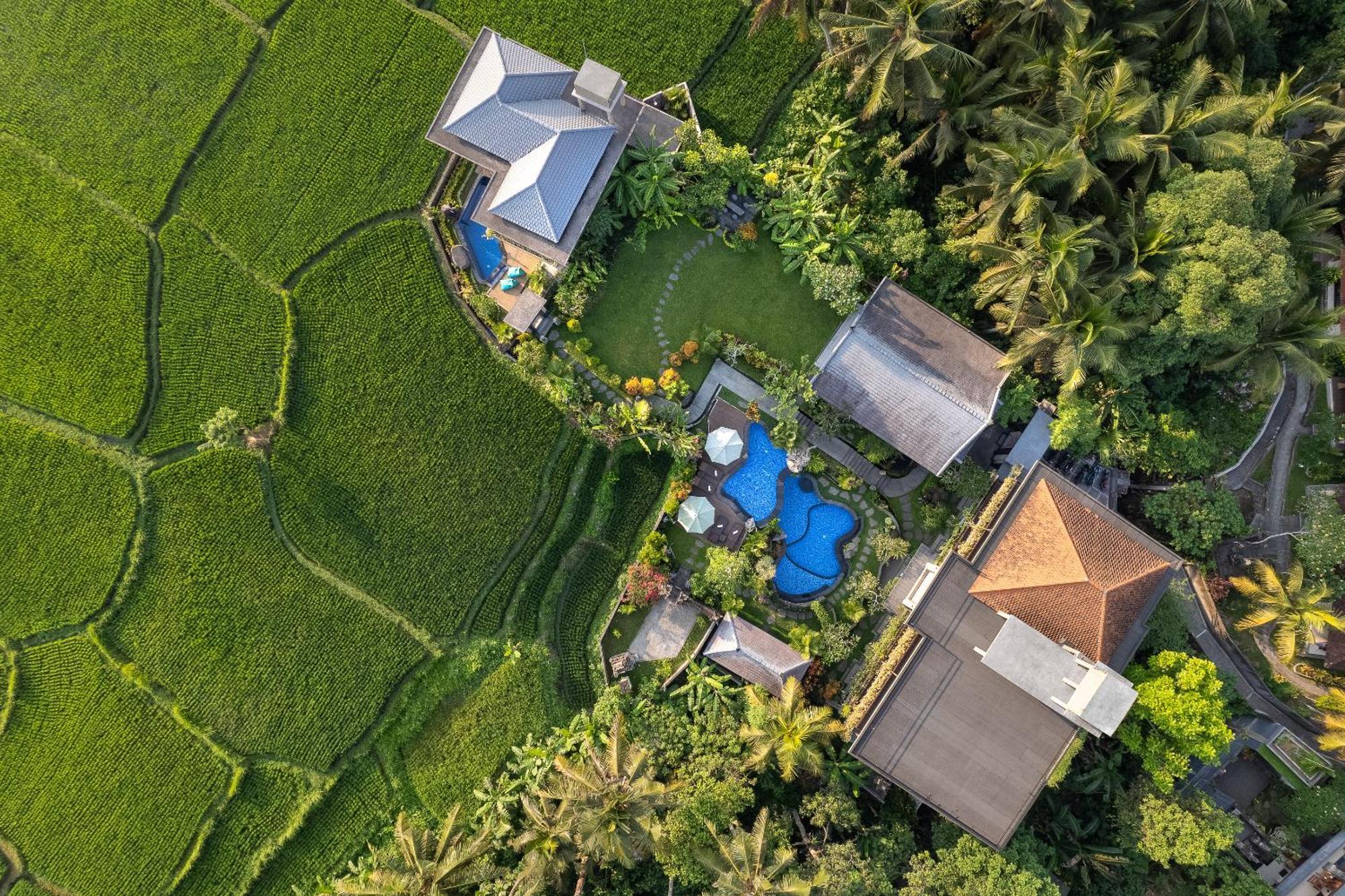 Gynandha Ubud Cottage Exterior photo